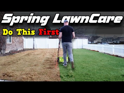 Spring Lawn Care - Do these 4 steps FIRST!