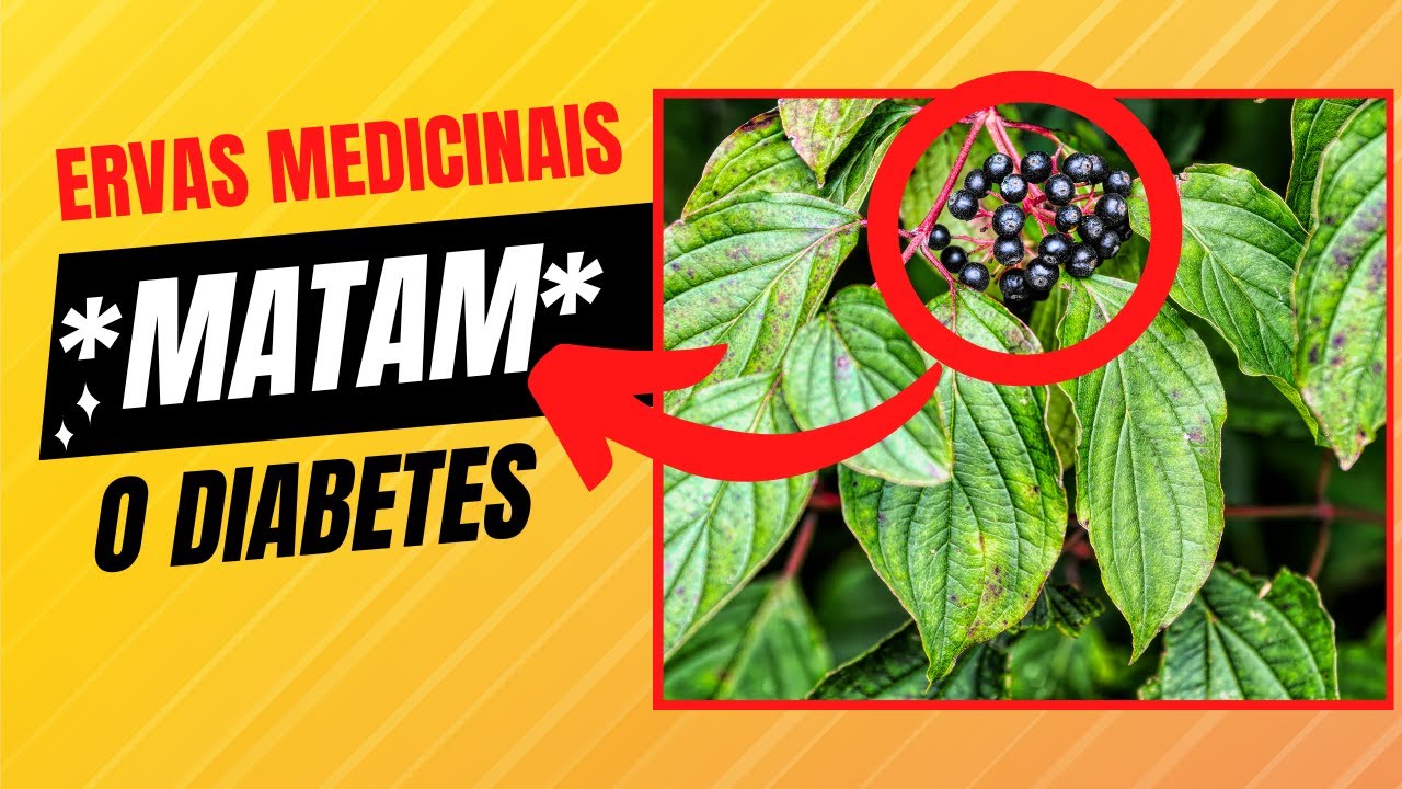 7 ERVAS MEDICINAIS QUE MATAM O DIABETES COM POUCAS FOLHAS [USE POUCO]