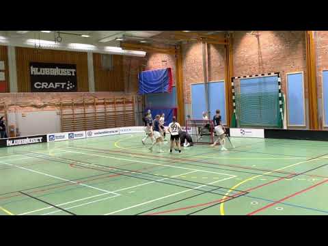 Highlights Pantamera Flickor C F07 /08 Åstorp/Kvidinge IBS - Gårdarike IBK 2-4