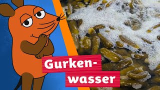 Wie wird aus Gurkenwasser Streusalz? | Die Maus | WDR