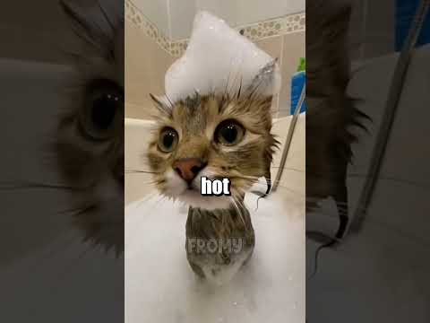 What happens if you wash in very hot water? 🙀