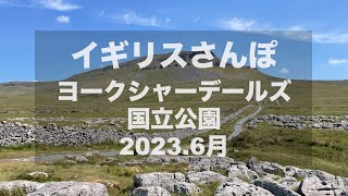 [ロンドン在住Vlog] イギリスさんぽ ヨークシャーデールズ国立公園