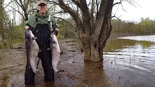 Catfishing in flood. How to catch catfish in high water - Finding and locating catfish in river.