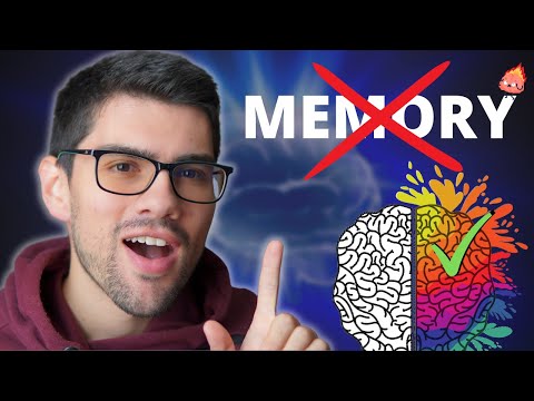 What if learning Neuroanatomy is more about creativity than memory?