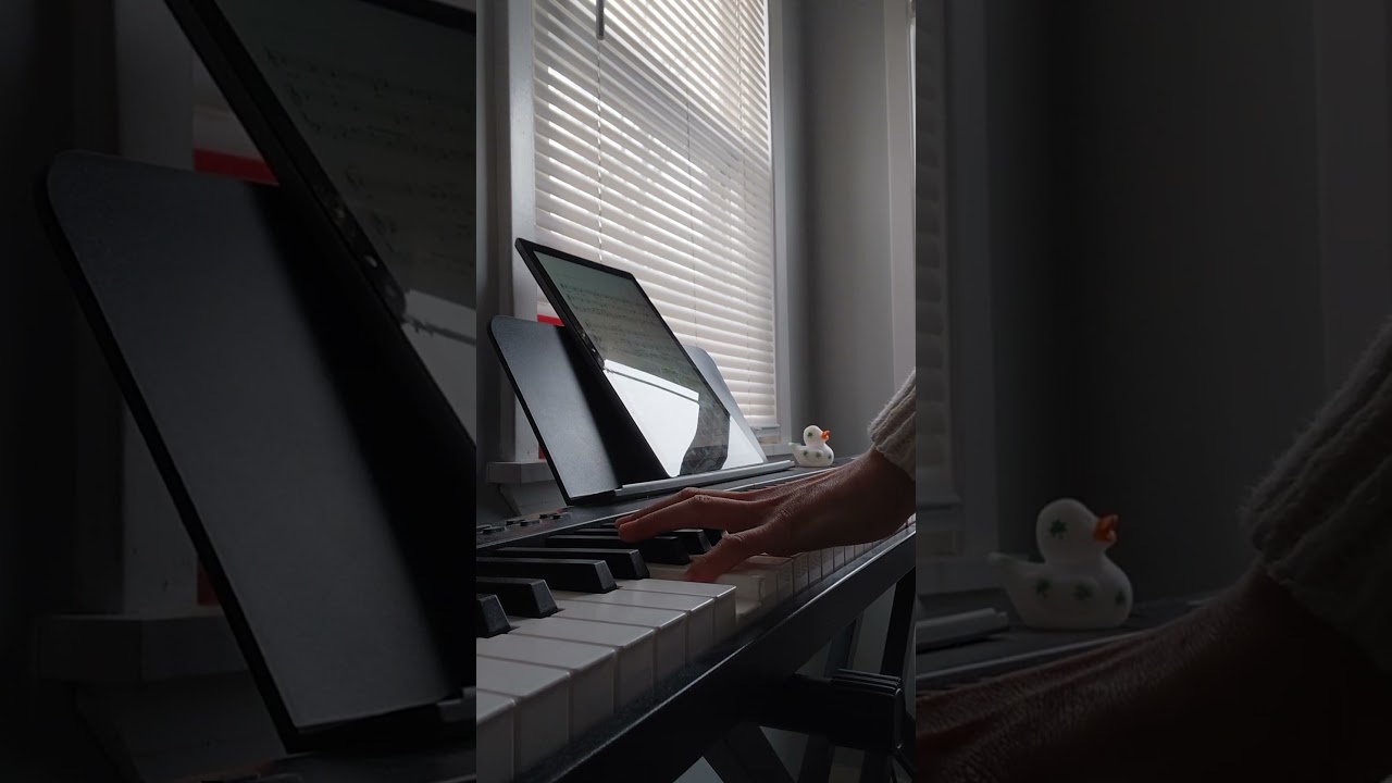 Promotional video thumbnail 1 for Violin and Piano Musician