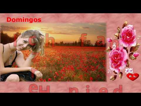 Domingos  Ich fang dein Herz heute Nacht