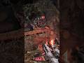 Making A Long Lasting Fire With Little Maintenance Called The Siberian Log Fire
