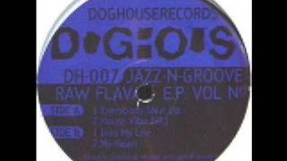 Jazz N Groove - House Vibe No.1 - 1994