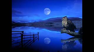 Silvio Rodriguez-Esto No Es Una Elegia