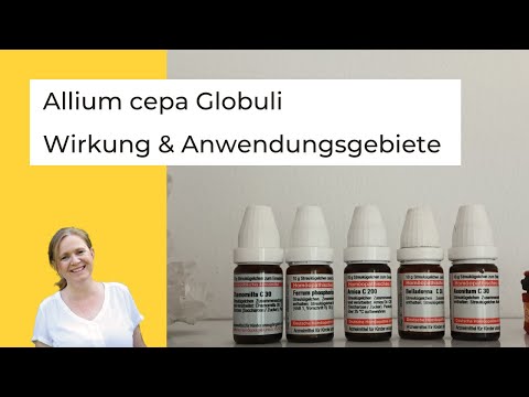 Das homöopathische Mittel Allium cepa: Leitsymptome und Anwendungsgebiete der Globuli