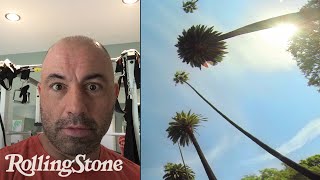 Joe Rogan: A Day (or So) in the Life of UFC's Funniest Guy