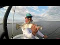 Chasing Birds with Vudu Shrimp Fishing Galveston Texas West Bay