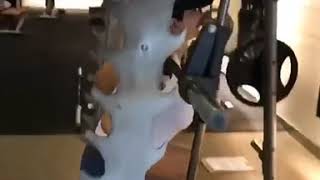 Download lagu Siscamellyana gym workouts mp3 Download lagu Siscamellyana gym workouts mp3