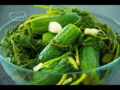 Schnelle eingelegte Gurken nach Russischer Art | Rezept