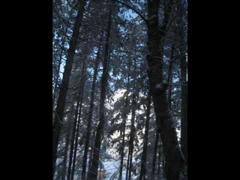 Ace Petkovski-Avstralija zemja pecalbarska.wmv