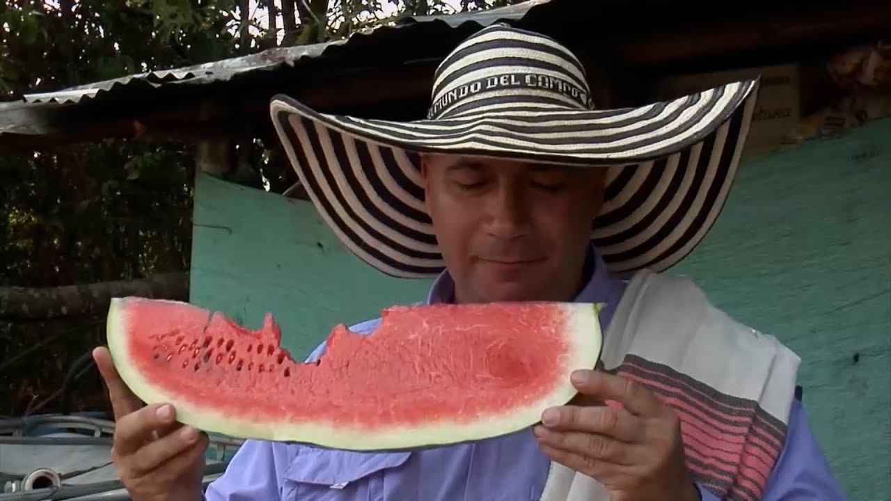 CULTIVO DE SANDIA – SAN MARTÍN DE LOS LLANOS   META