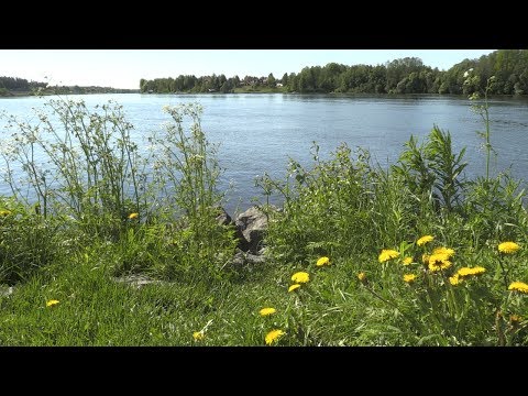 VK100: Så blir midsommarvädret