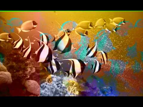 Glorioso es tu senhor 64 hcc baixo