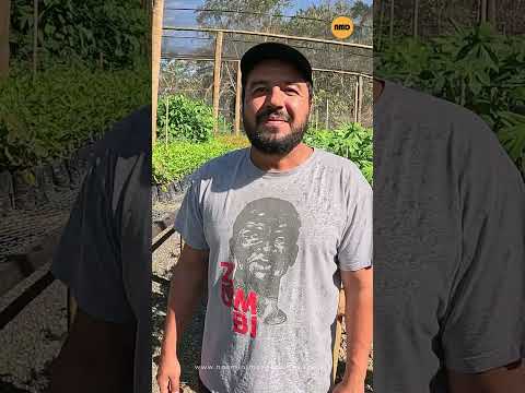 Sítio Bagagem, em Niquelândia, produz mudas de plantas nativas do Cerrado.
