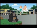 Family Guy Best Moments Kitten And Gorilla