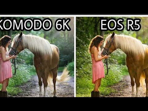 RED KOMODO 6K ~VS~CANON EOS 5R CAMERA TEST COMPARISON