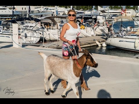 MAGAZIN - MACHO MAN (SOUNDTRACK - MJUZIKL "PACIJENTI")