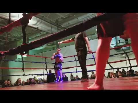 Irish WolfHound Fight spinning back kick