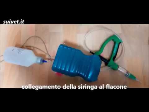 Pene funzionamento allargamento Mosca Quali vitamine meglio prendere gli uomini per aumentare la potenza