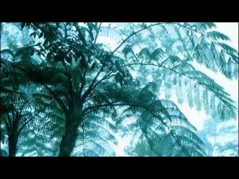 CCB Hinos Novos Hinário 5 Cantado COMPLETO Meire, Tiele e Jane CCB wmv