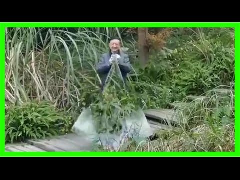 'il mantello dell'invisibilità esiste davvero': in cina il trucco da milioni di clic