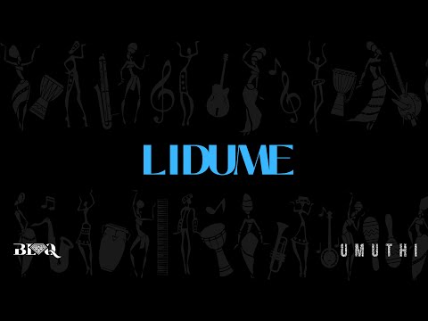 Blaq Diamond - Lidume (Official Audio)