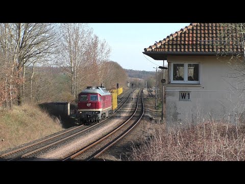 132 334-4 mit Holzzug Bad Salzungen - Eisenach - Erfurt