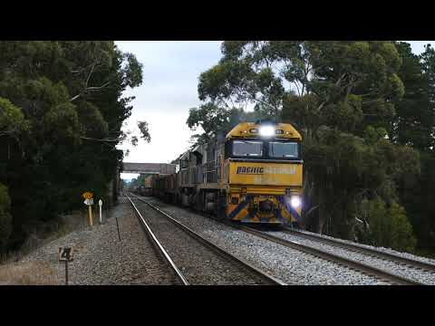 Steel Train 5MW2 operated by Pacific National at Tallong NSW. Thursday        17 June 2021