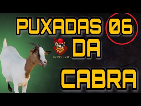 PUXADAS DA CABRA  -- DICAS CAPITÃO GANCHO