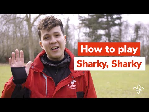 How to play Sharky, Sharky