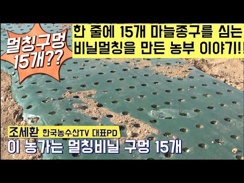 , title : '[한국농수산TV] 한 줄에 15개 마늘종구를 심는 비닐멀칭을 만든 농부 이야기!! 충남 서산'