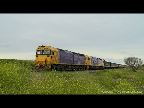 7CK5 Pacific National Grain Train - PoathTV Australian Railways