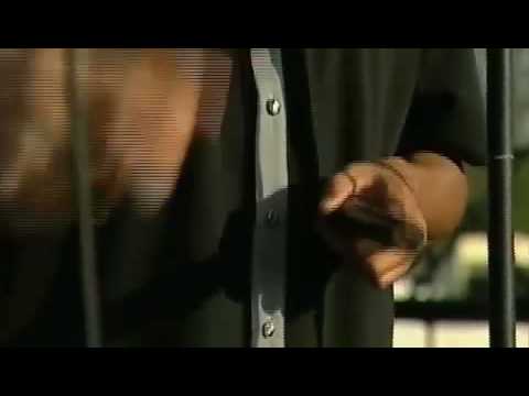 The Alley Cats- Little Darlin