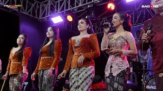 Download lagu FUUL ALBUM _THE BAGONG CAMPURSARI // TAJ HD PRO // DUA PUTRA AUDIO PRO mp3 Download lagu FUUL ALBUM _THE BAGONG CAMPURSARI // TAJ HD PRO // DUA PUTRA AUDIO PRO mp3