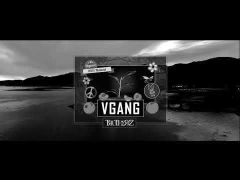 Mr Traumatik - Vgang