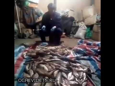 Муж съездил на рыбалку жена плачет