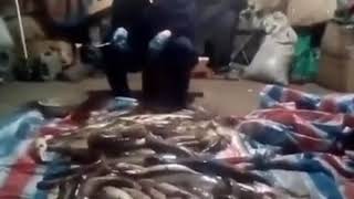 Жены Отправляем мужей на рыбалку