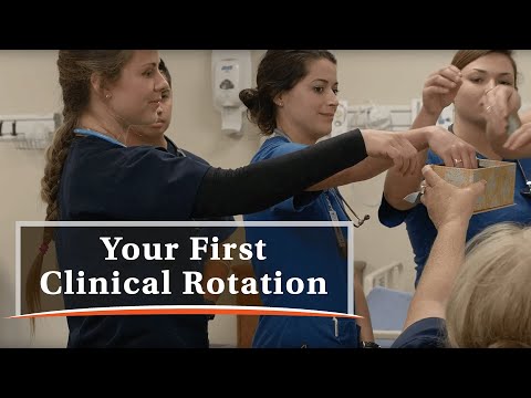 Your First Clinical Rotation: What to Expect