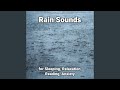 Magnificent Rain Sounds