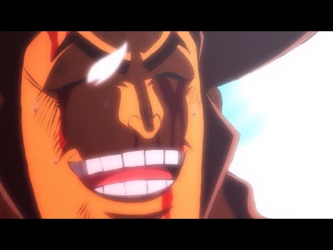 One Piece Wiki Anime Amino One Piece Wiki Anime Amino