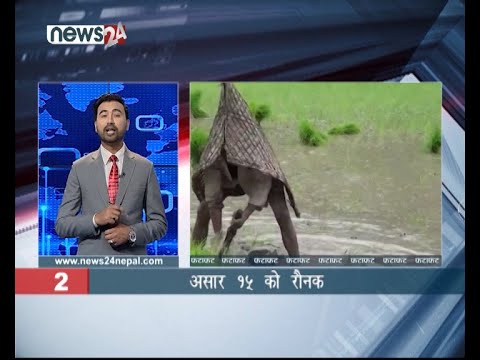 AFTERNOON NEWS FATAFAT - NEWS24 TV