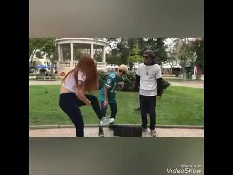 Ardillas pordoquier xd