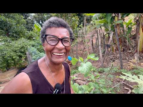 O JARDIM DE DONA NEM - TURMALINA MG