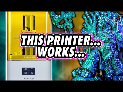 Nova 3D Whale SE Review - S'alright innit