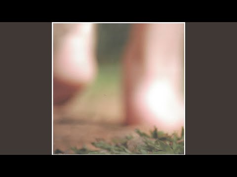 Calendário - Zé Modesto